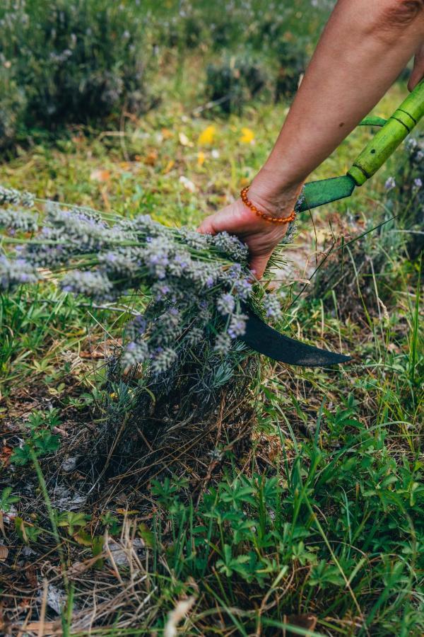 B&B Al Giardino Dei Laghi Revine Lago エクステリア 写真